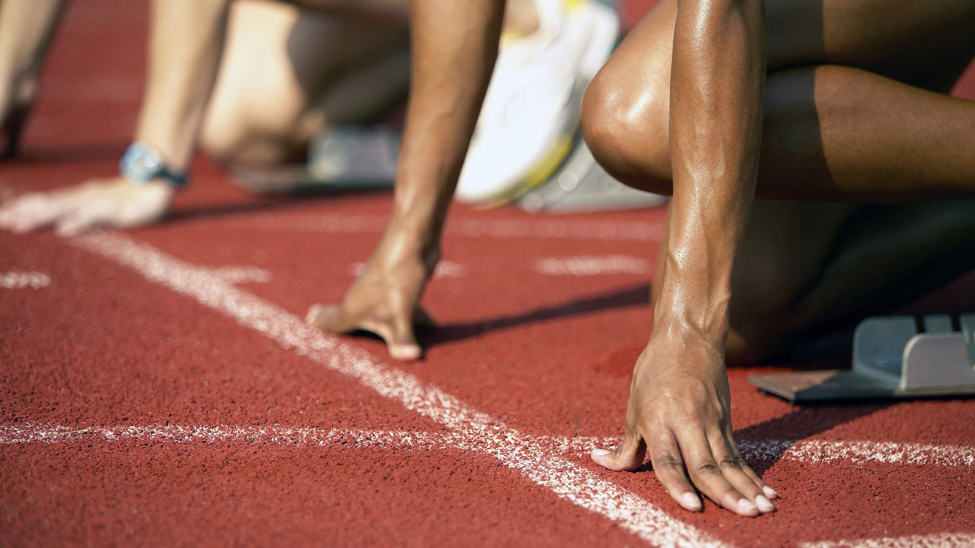 未来足球场馆全面实现绿色节能，环保理念深入人心，足球场建设方案